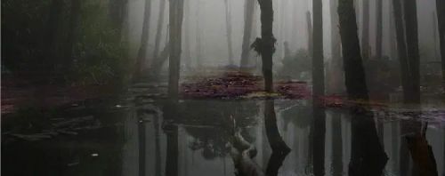 آموزش طراحی گوزن درخشان در فتوشاپ